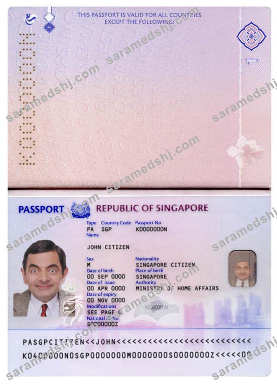 Singapore new pass (2017+)
